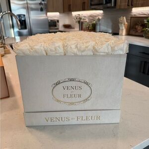 Venus Le Fleur - Cream Rose Box